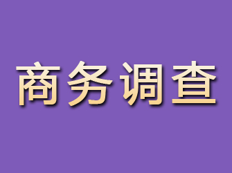 磴口商务调查